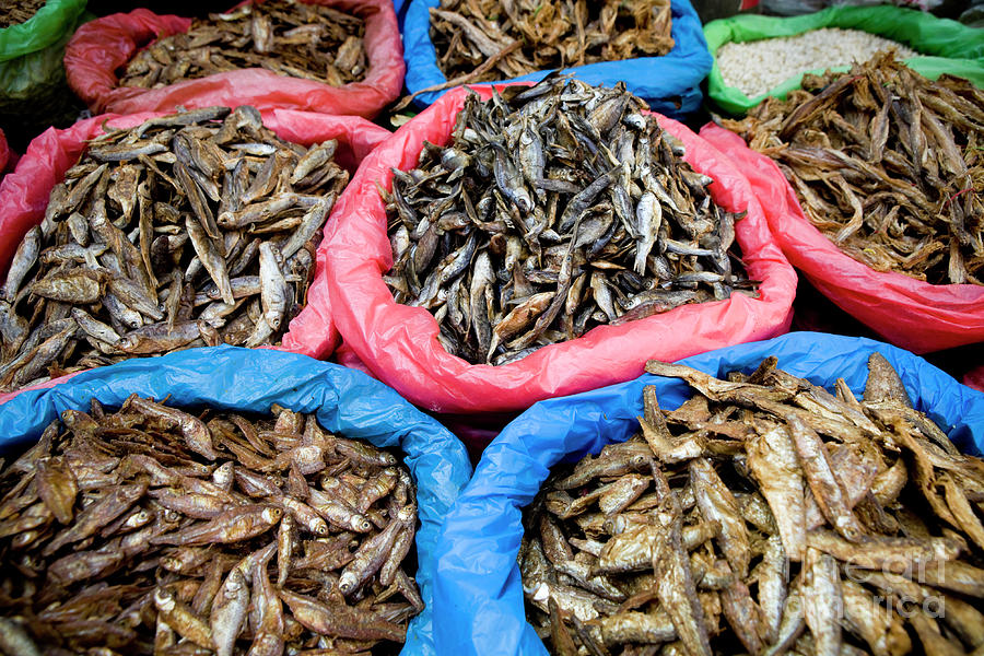 Dried Fish Carbon Market Cebu City Philippines Photograph by Kevin ...