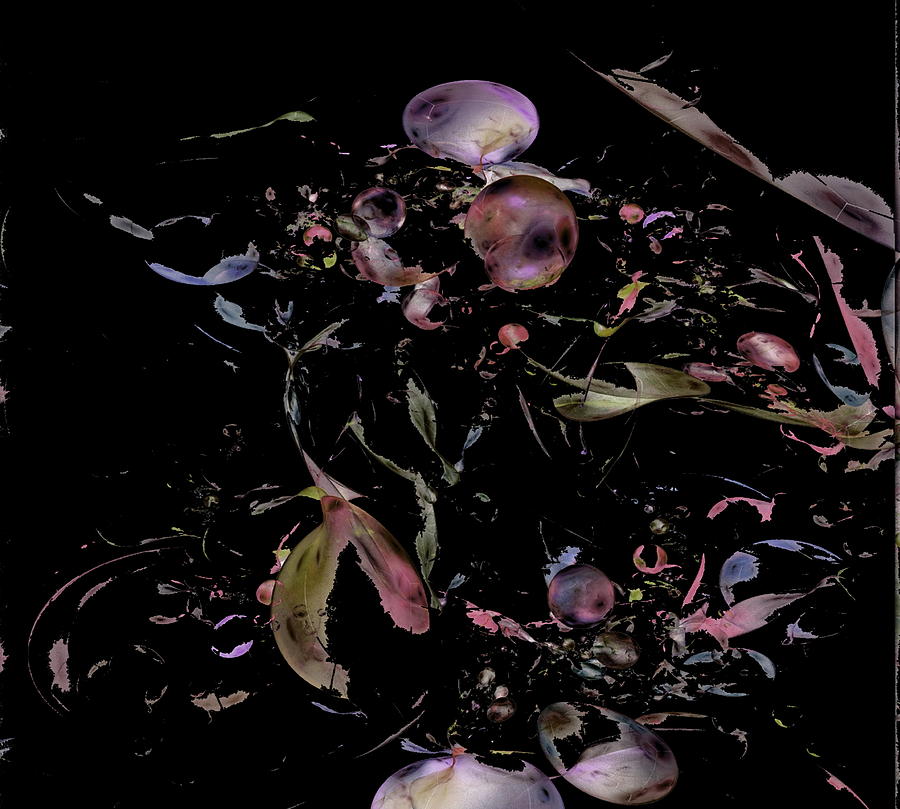 Dried Flowers Digital Art by Mark Slauter