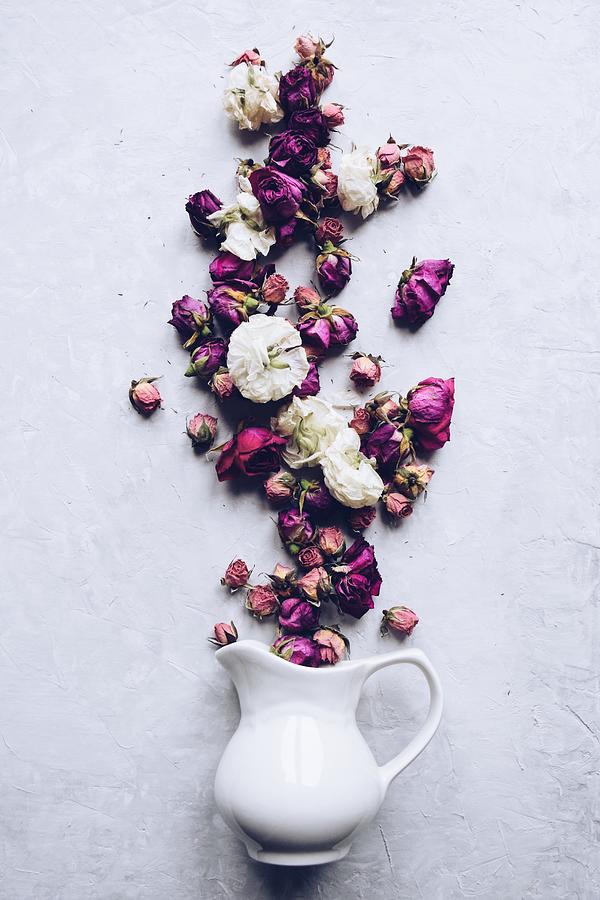 Dried flowers spilling out of a jug Photograph by JuliaK