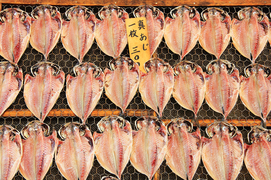 Dried mackerel Photograph by Yuichiro Chino