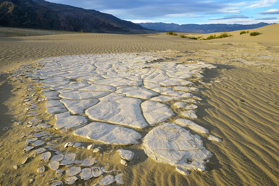 Dried mud exposed on the rippled sand, Mesquite Flat Sand Dunes,  Death Valley, California Photograph by Kevin Oke