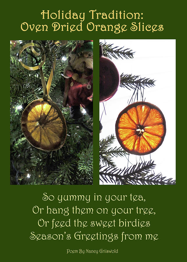 Dried Oranges for the Holiday Card Photograph by Nancy Griswold