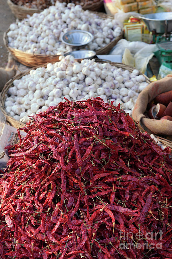 Dried Red Chilli Peppers at an Indian Market Photograph by Tim Gainey