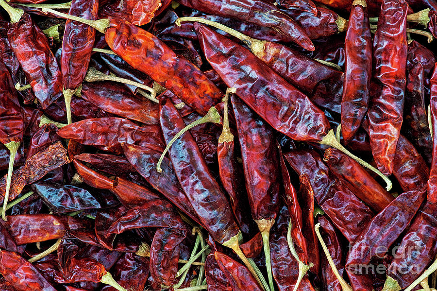 Dried Red Chilli Peppers Photograph by Tim Gainey