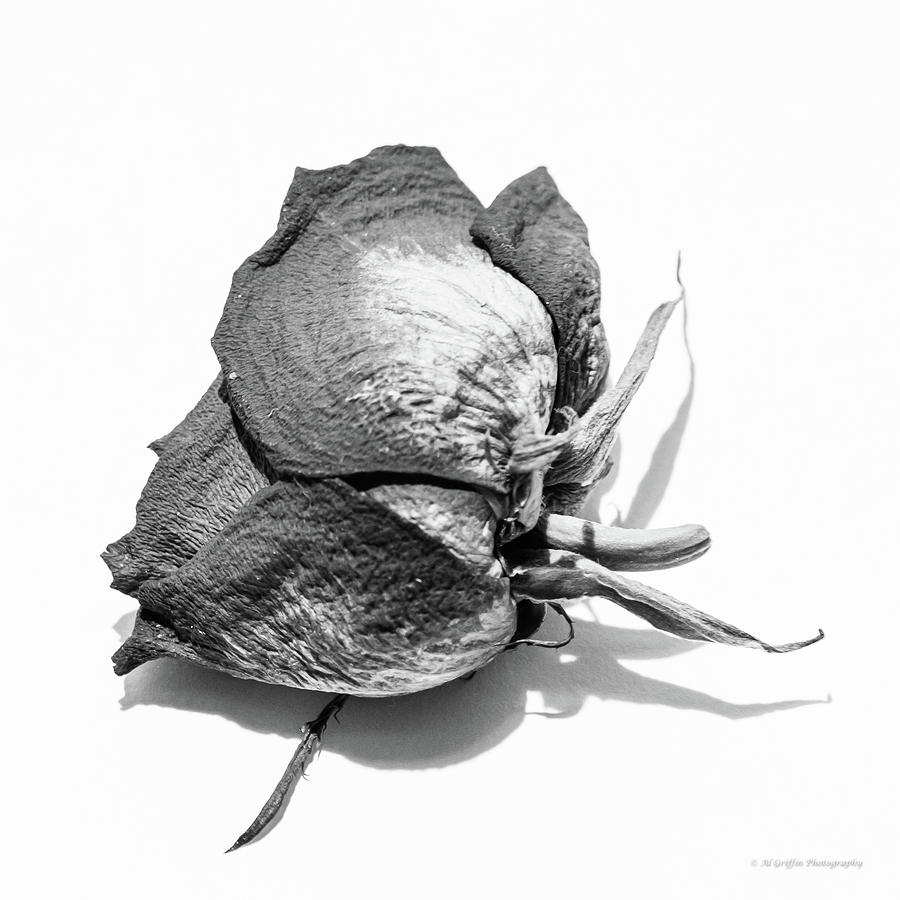 Dried Rose 10 Photograph by Al Griffin