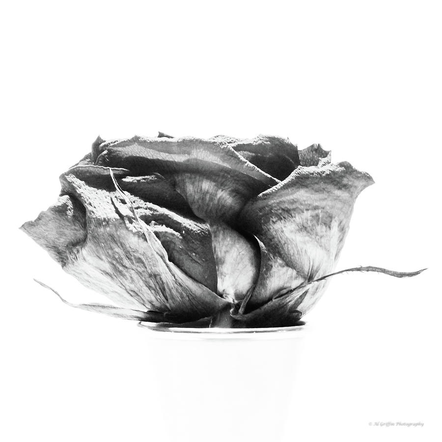 Dried Rose 8 Photograph by Al Griffin