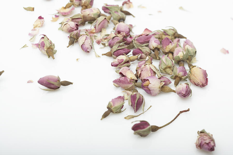 Dried rosebuds, elevated view Photograph by Thomas Northcut