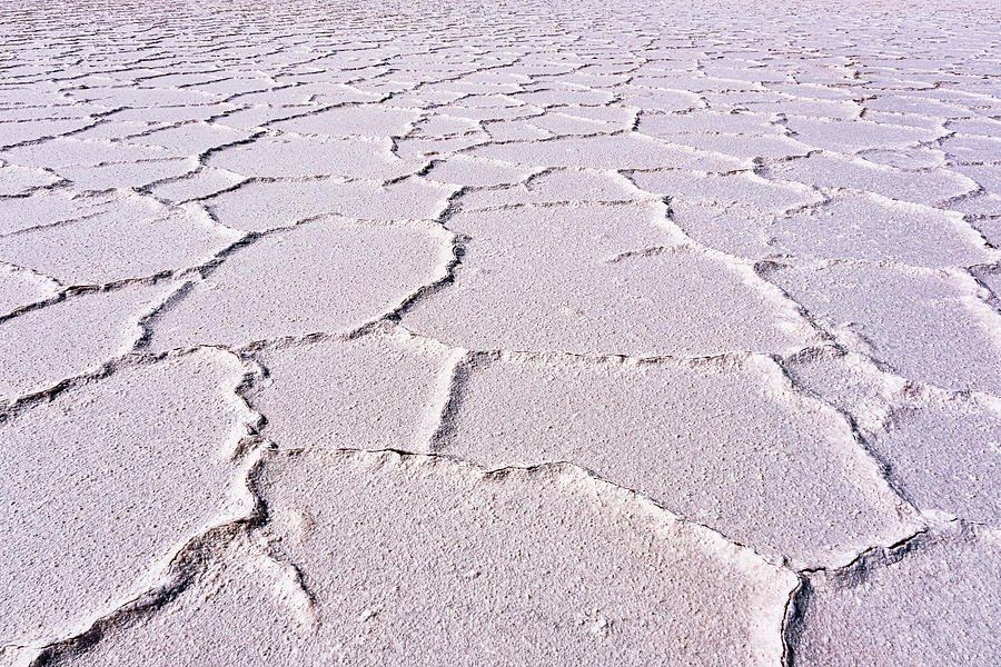 Dried Salt Patterns - Lake Hart Photograph by Lexa Harpell