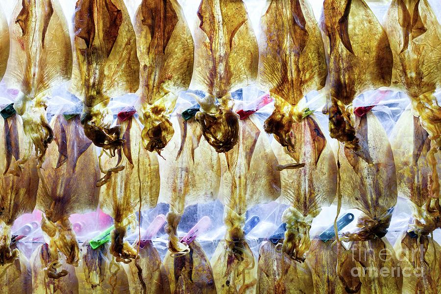 Dried Squid Photograph by Dean Harte