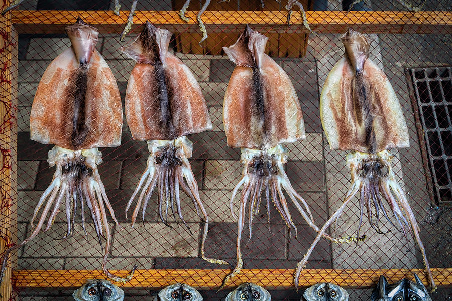 Dried Squid Photograph by Bill Chizek