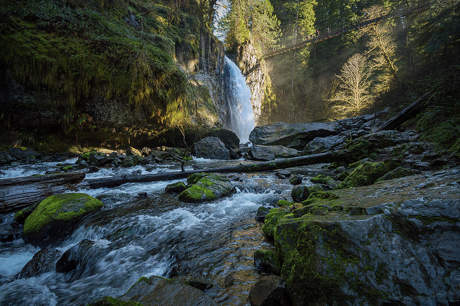 Drift Creek Falls Photograph by Bill Posner