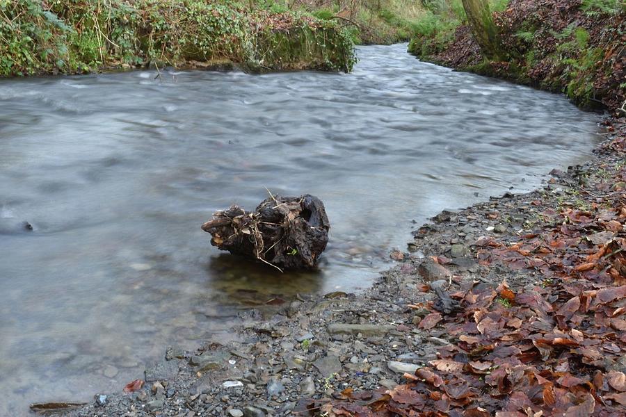 Drifting down the stream Photograph by Breandan Monaghan - Fine Art America