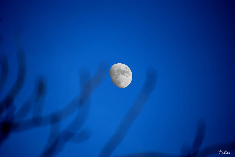 Drifting Moon Photograph by Vallee Johnson