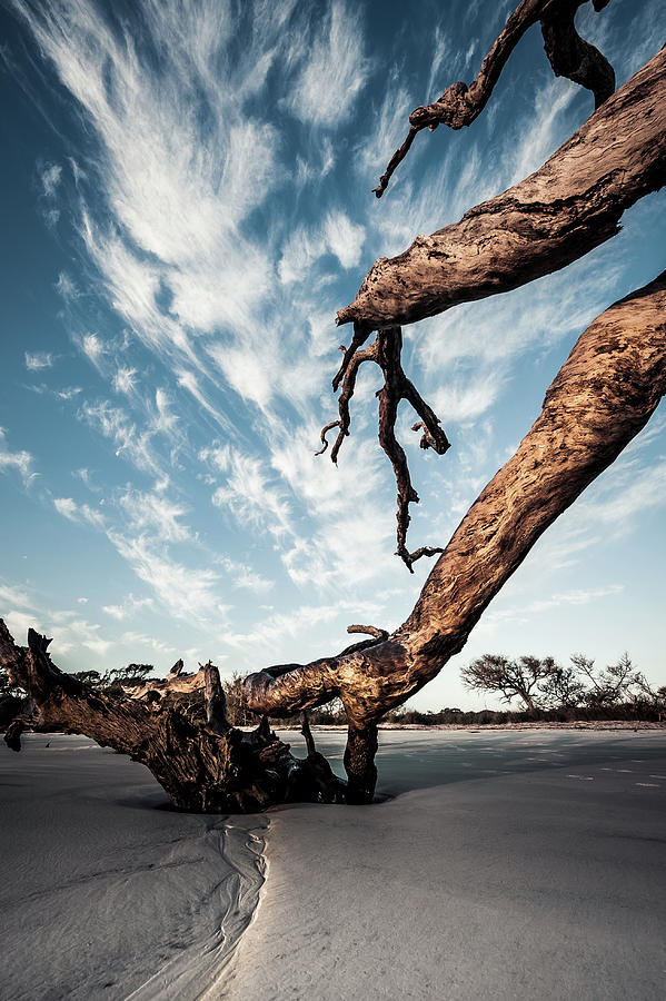 Beaches Photograph - Drifting Sky by Steven Norris Beaches Photograph - Drifting Sky by Steven Norris