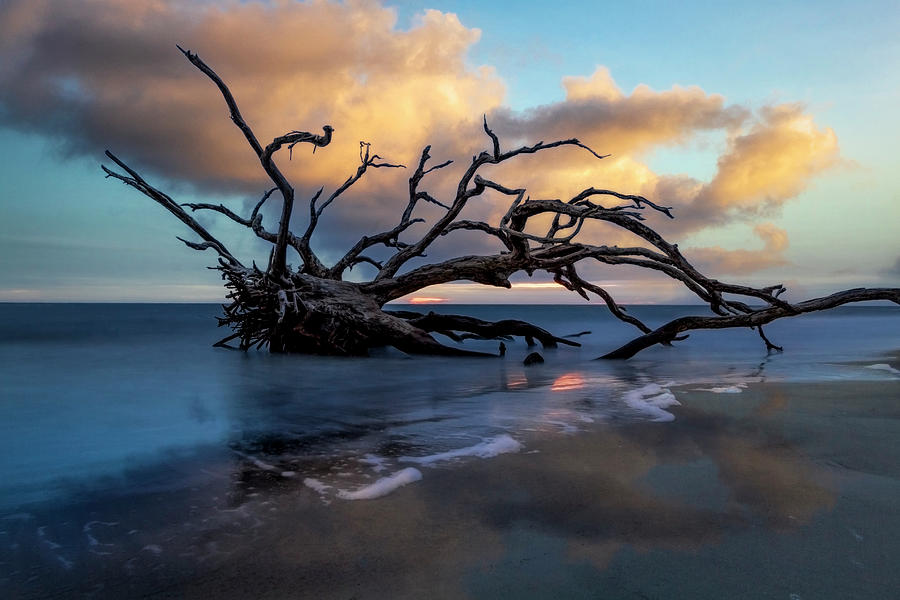 Fall Photograph - Drifting Tides on Jekyll Island by Debra and Dave Vanderlaan