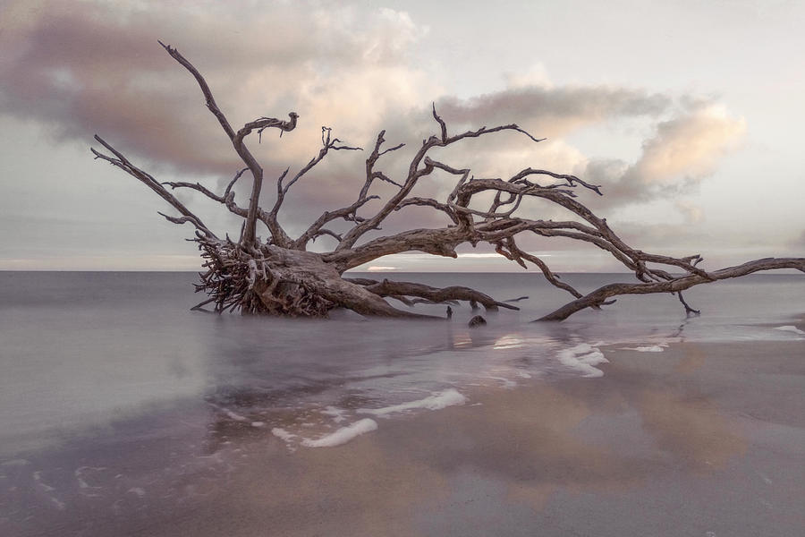 Drifting Tides on Jekyll Island Soft Beachhouse Tones Photograph by Debra and Dave Vanderlaan