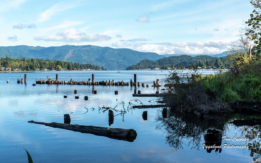 Driftwood and Old Pilings in Lake Whatcom Photograph by Tom Cochran