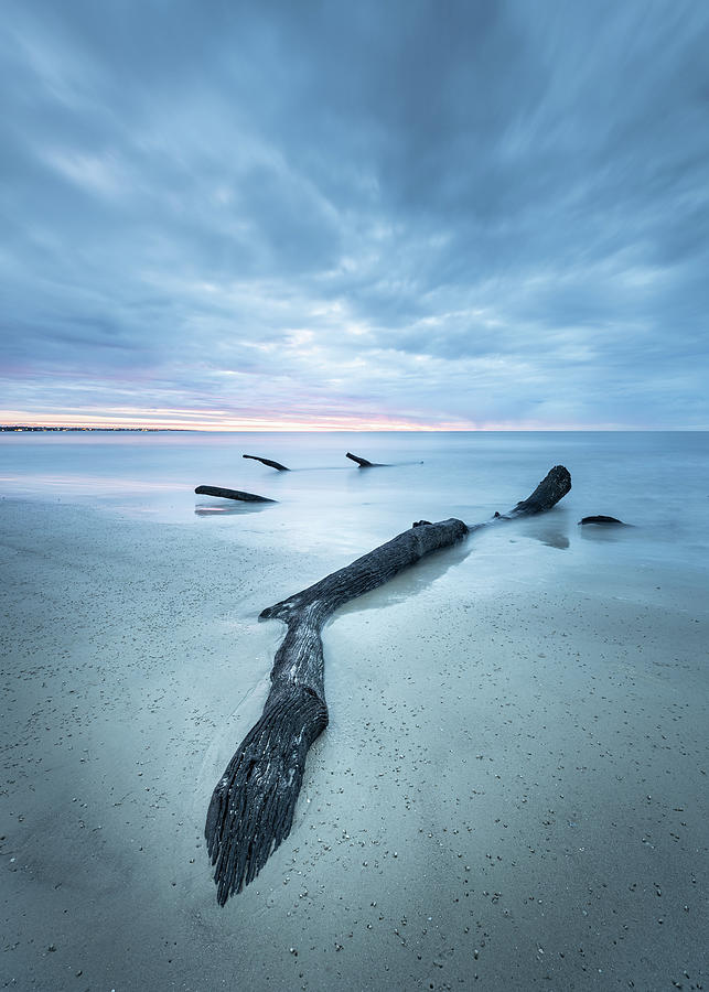 Driftwood And Sand Photograph by Jordan Hill