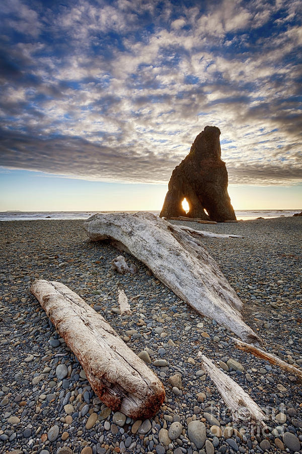 Driftwood and Sea Stack in Olympic National Park Photograph by Bryan Mullennix