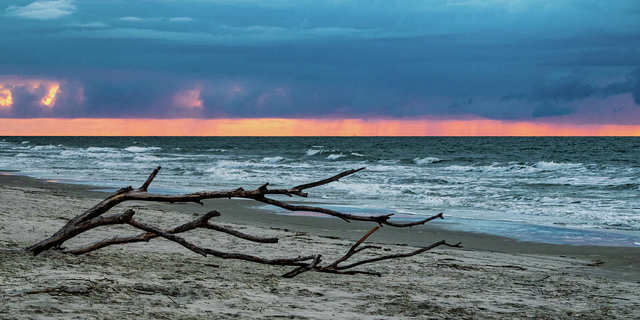 Driftwood and Stormy Seas Panoramic Photograph by Mary Ann Artz