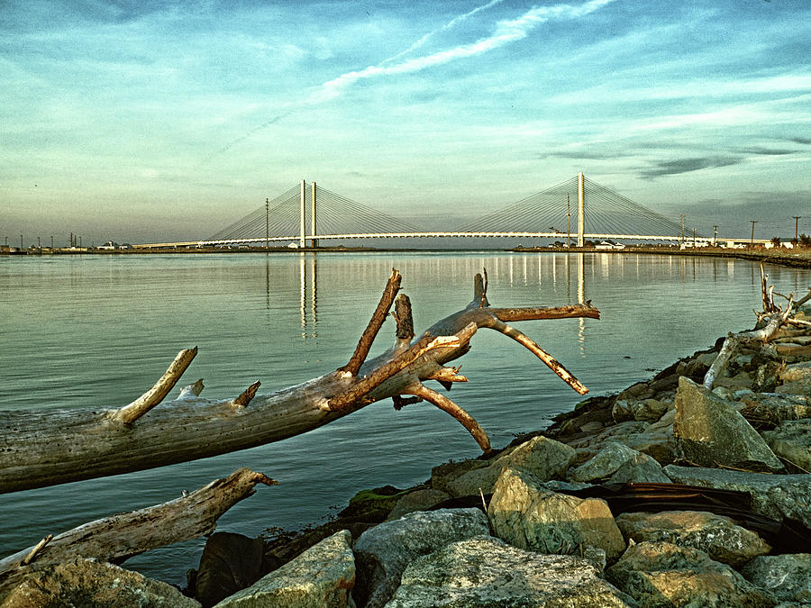Driftwood and the Indian River Bridge Photograph by Bill Swartwout