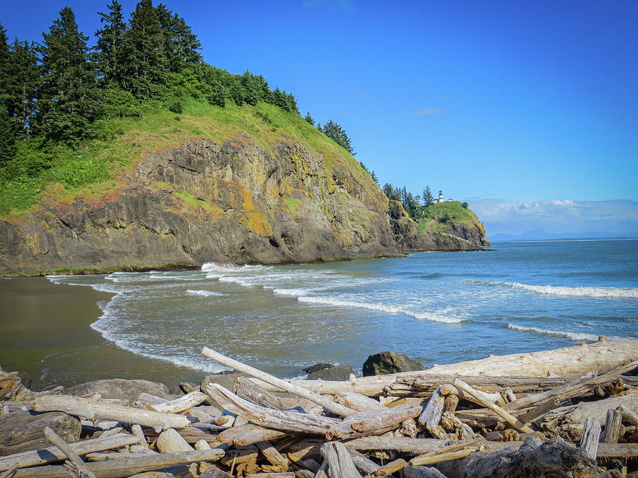Driftwood at Cape Disappointment Photograph by Gerri Bigler