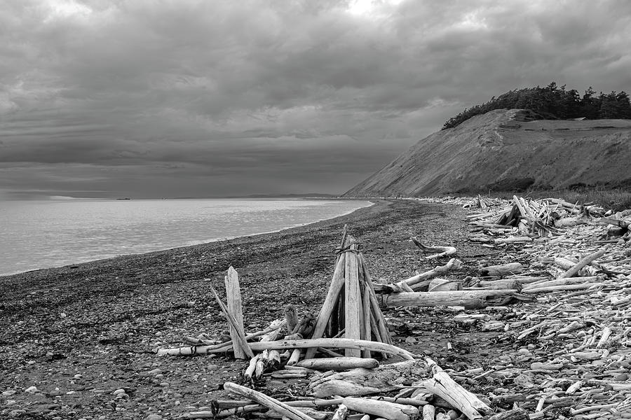 Driftwood at Ebeys Landing in Black and White Photograph by Mary Lee Dereske