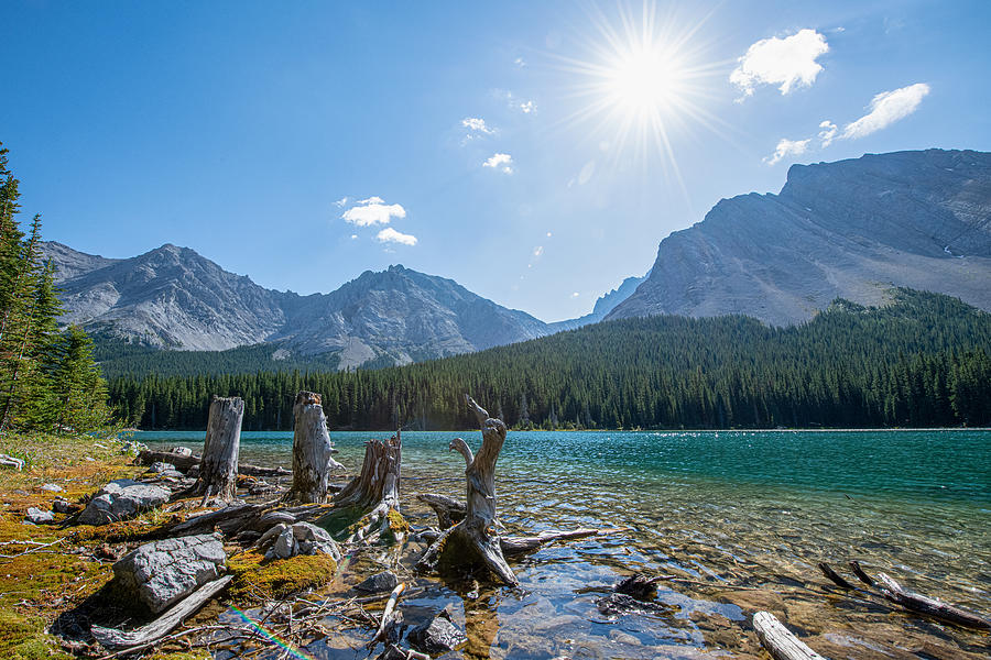 Mountain Photograph - Driftwood at Elbow Lake by Phil And Karen Rispin