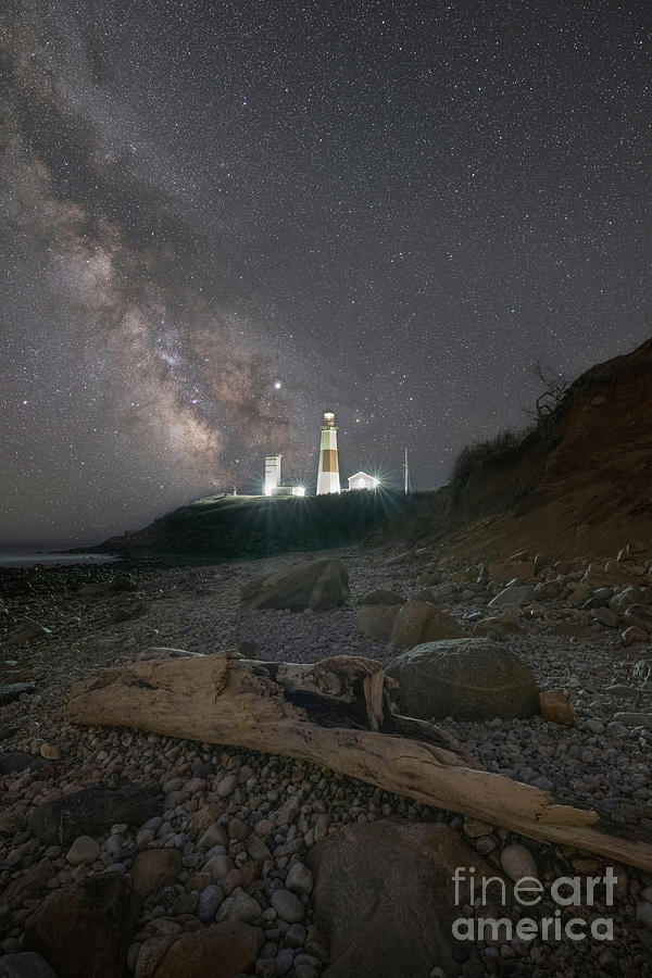 Driftwood At Montauk Lighthouse Photograph