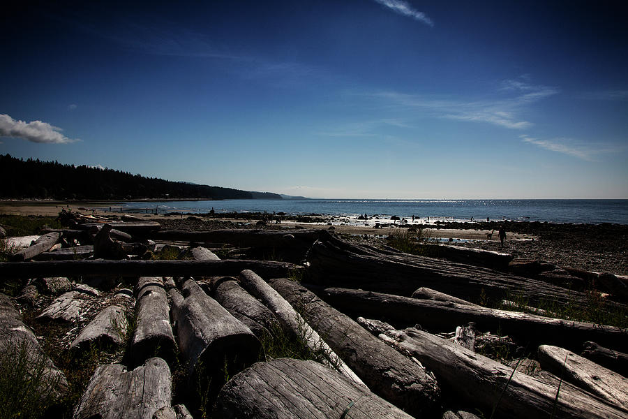 Driftwood at Roberts Creek Photograph by Monte Arnold