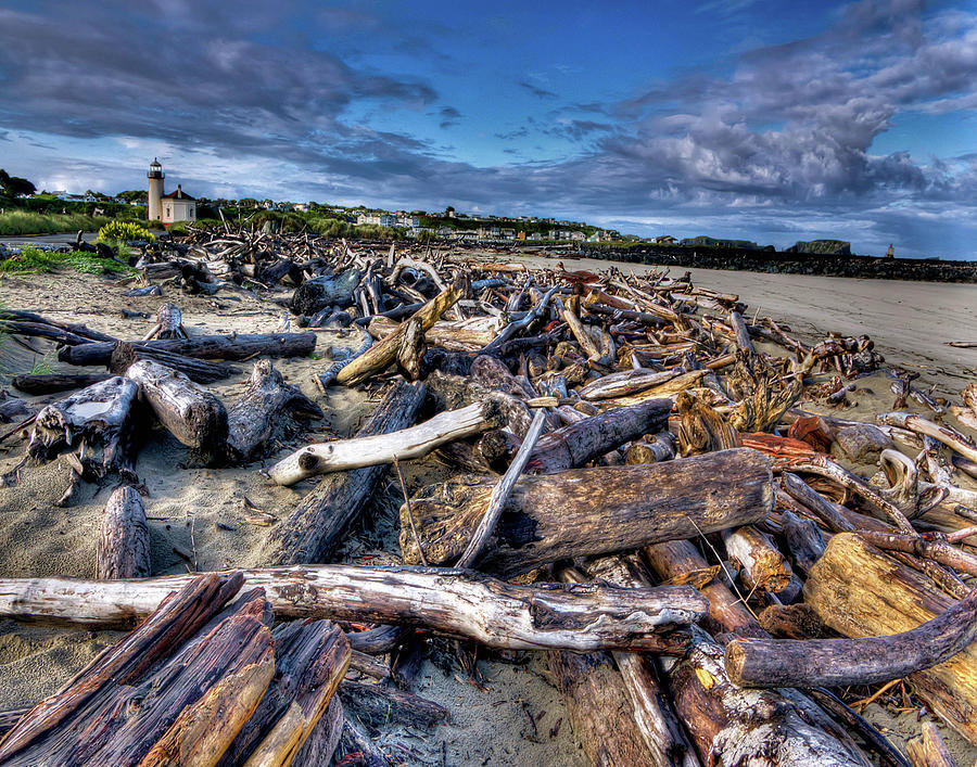 Driftwood At The Coquille River Lighthouse  Photograph by Thom Zehrfeld