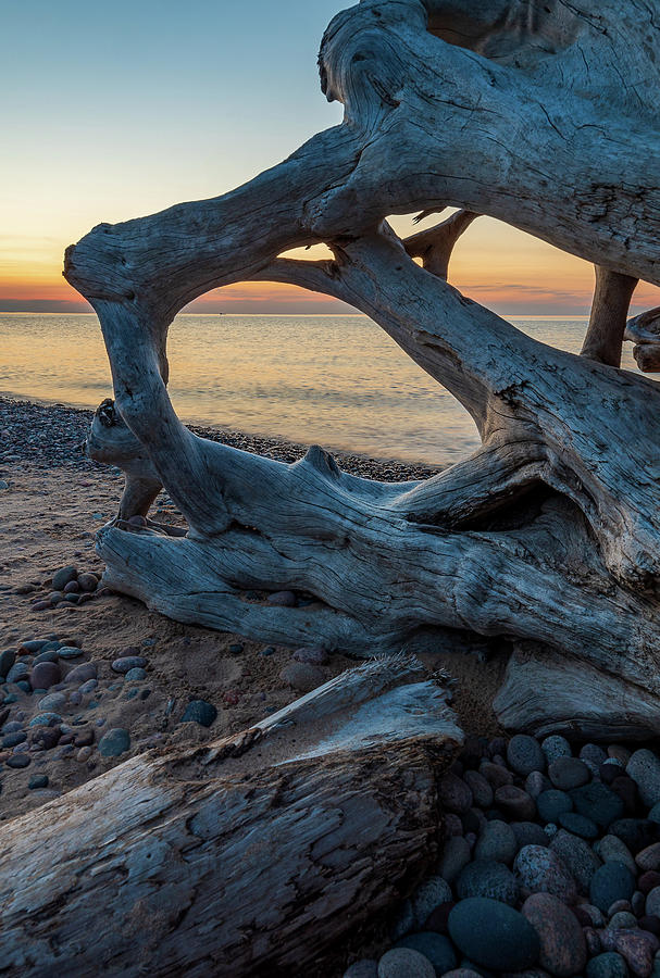 Driftwood At Whitefish Point Photograph