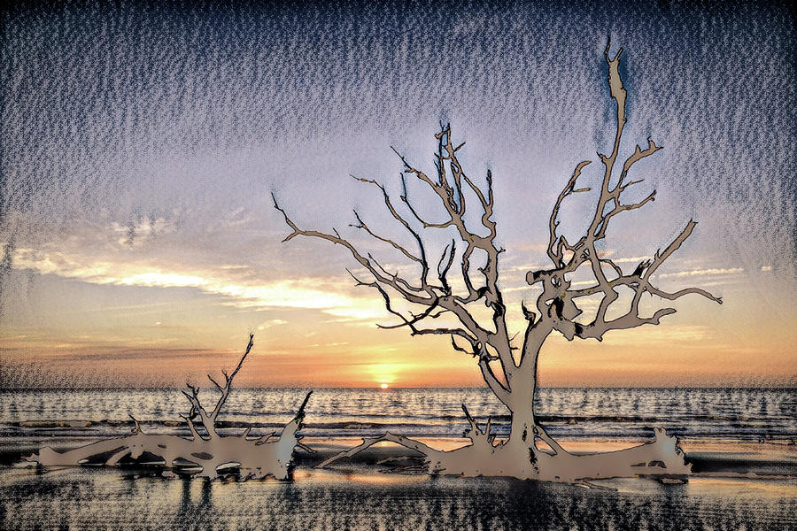 Driftwood Beach Iconic Tree Sunrise Charcoal Sketch Photograph by Bill Swartwout