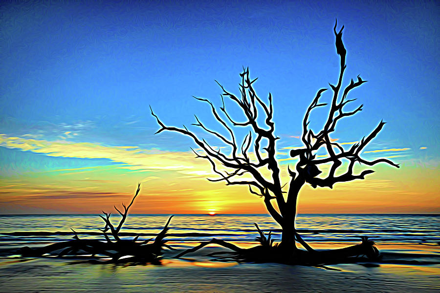 Driftwood Beach Iconic Tree Sunrise Expressionism Photograph by Bill Swartwout