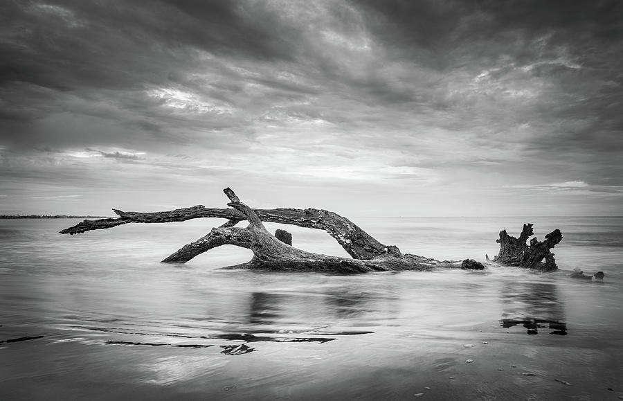 Driftwood Beach In Black And White Photograph by Jordan Hill