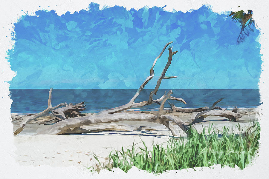 Driftwood Beach Jekyll Island Digital Art by Anthony George Visuals