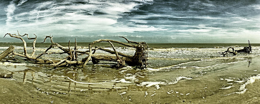 Driftwood Beach Jekyll Island Panorama 109 Photograph by Bill Swartwout