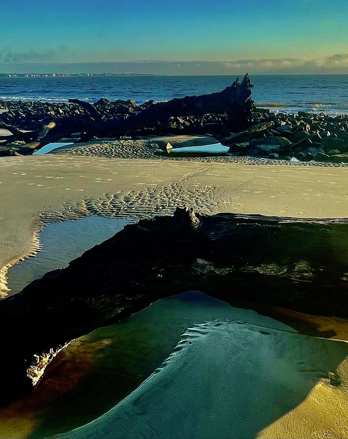 Driftwood Beach Jekyll Island Photograph by Picture That By Boni B