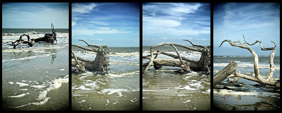 Driftwood Beach Jekyll Island Quadtych Photograph by Bill Swartwout