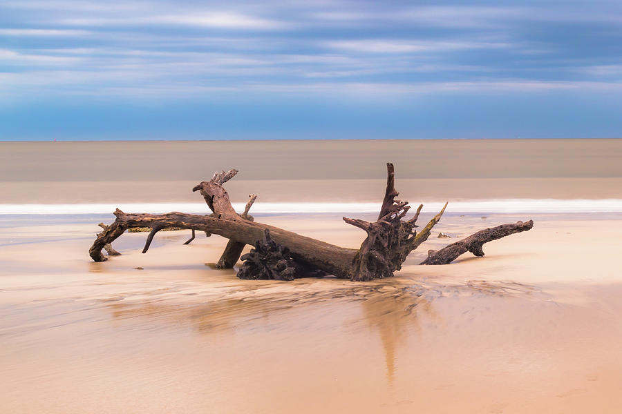 Driftwood Beach Photograph by Joe Kopp