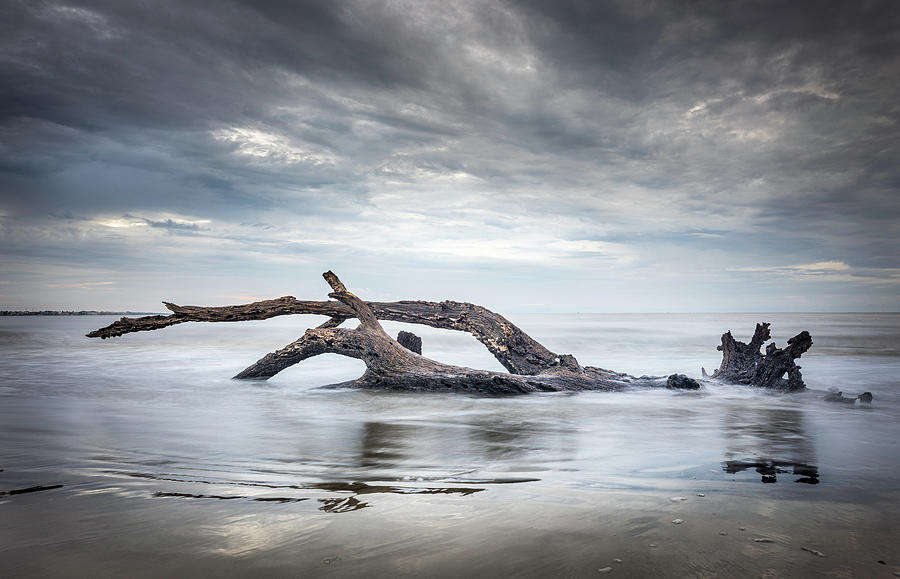 Driftwood Beach Photograph by Jordan Hill