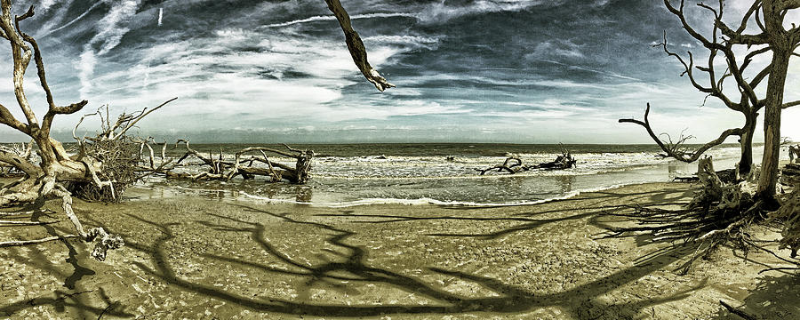 Driftwood Beach Panorama Shadows 106 Photograph by Bill Swartwout