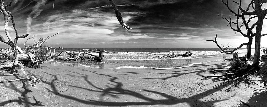 Driftwood Beach Panorama Shadows 107 Photograph