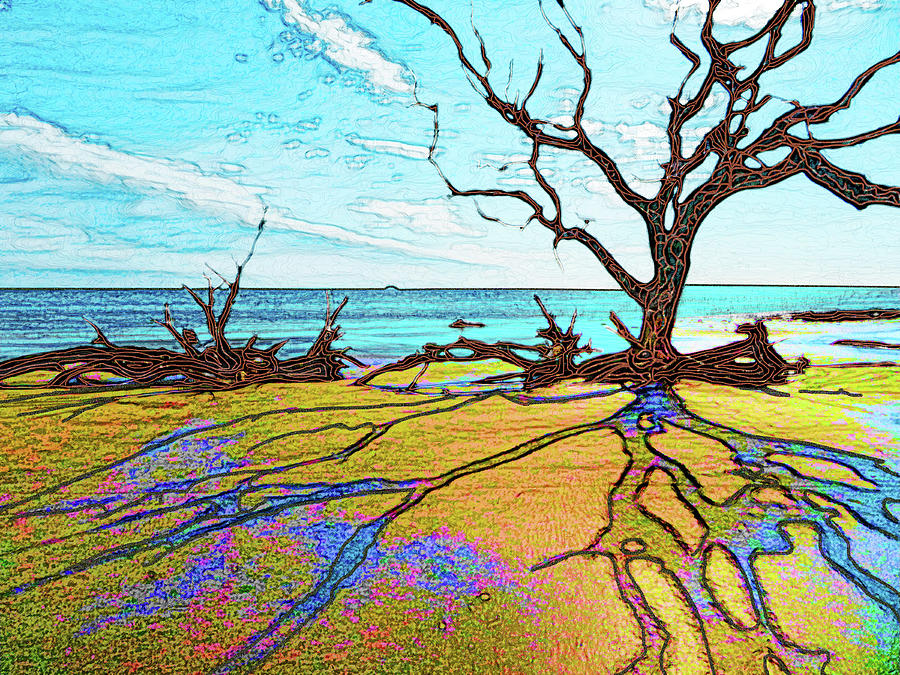 Driftwood Beach Digital Art by Rod Whyte