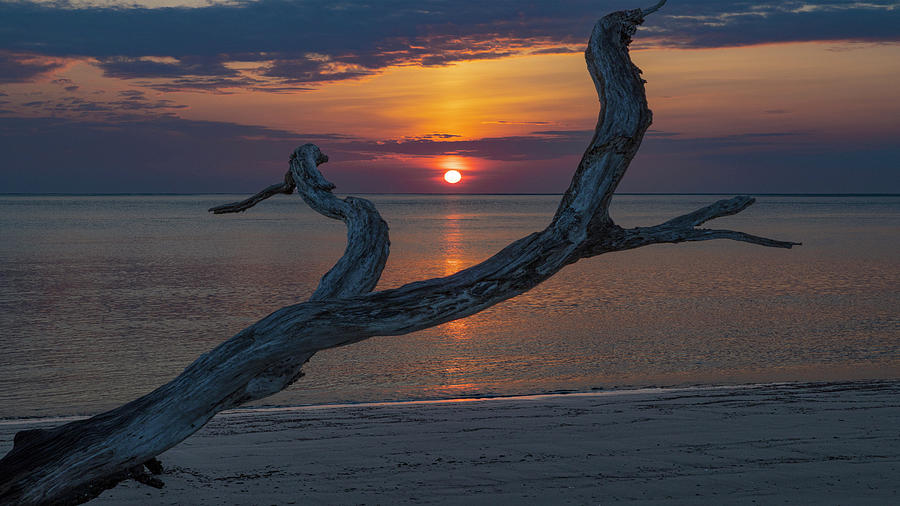 Driftwood Framed Sunrise Photograph by Gordon Elwell