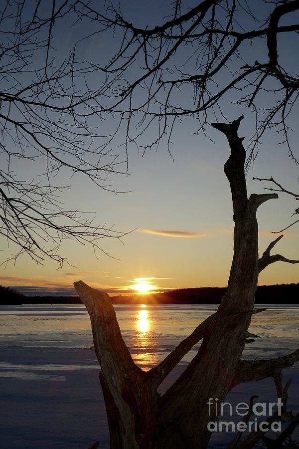 Driftwood Framed Sunset Photograph by Sandra Updyke