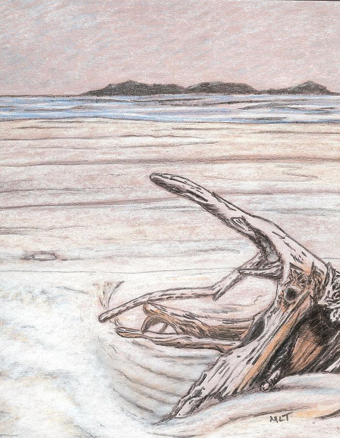 Driftwood Drawing by Marvin Tweedy