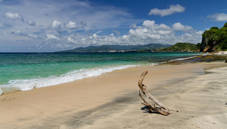 Sky Photograph - Driftwood on a Caribbean sea shore by John Gilham Sky Photograph - Driftwood on a Caribbean sea shore by John Gilham