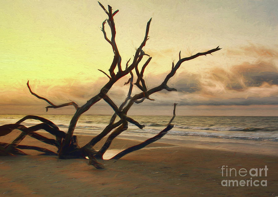 Driftwood on Botany Bay Painterly Photograph by Michelle Tinger