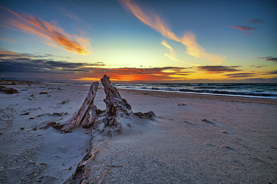 Sunset Photograph - Driftwood on the Beach #2 by Jan Fijolek